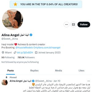 Alina Angel Twitter