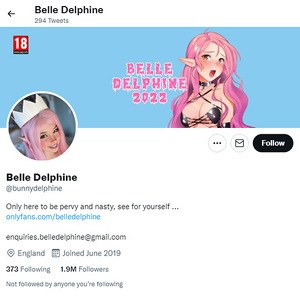 Belle Delphine Twitter