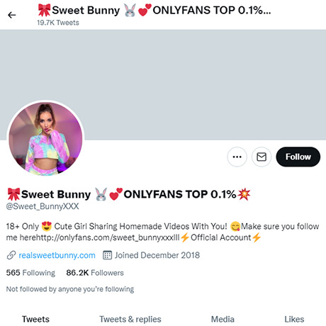 Sweet Bunny Twitter